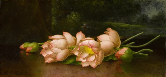 Fleurs de lotus avec une peinture de paysage en arrière-plan